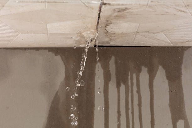 Professional Water Damage Repair technician working in Marshallville, GA